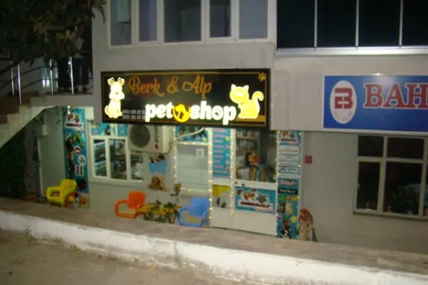 BERK ALP PETSHOP AKVARYUM - Resim 2