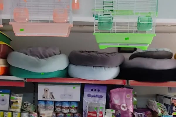 BERK ALP PETSHOP AKVARYUM - Resim 17