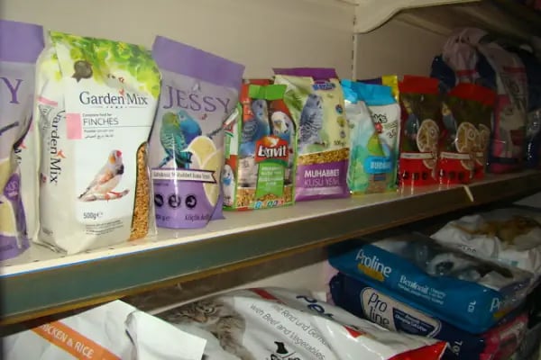 BERK ALP PETSHOP AKVARYUM - Resim 14