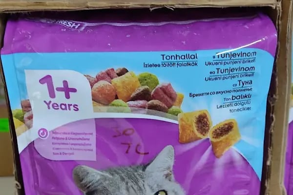 BERK ALP PETSHOP AKVARYUM - Resim 8