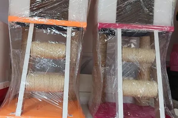 BERK ALP PETSHOP AKVARYUM - Resim 19