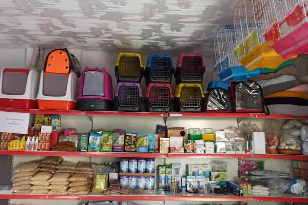 BERK ALP PETSHOP AKVARYUM - Resim 20