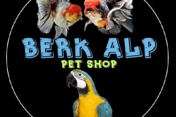 BERK ALP PETSHOP AKVARYUM - Resim 4