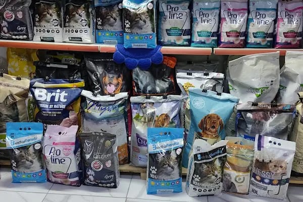 BERK ALP PETSHOP AKVARYUM - Resim 5