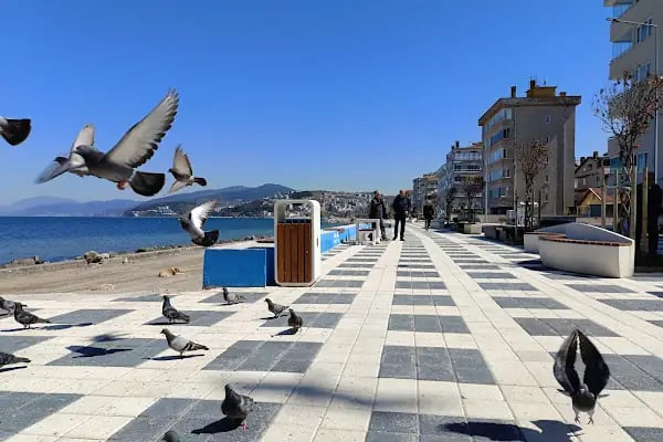 Güzelyalı Sahili - Resim 4