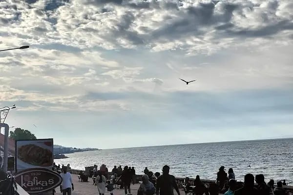 Güzelyalı Sahili - Resim 16