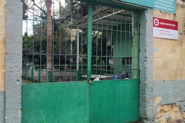 Türkistanlı Mencik Baba Türbesi - Resim 2