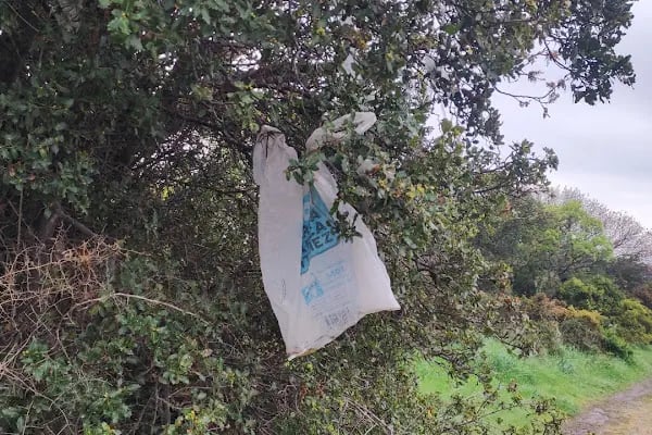 İzmir Büyükşehir Belediyesi Bergama Düzenli Katı Atık Depolama Tesisi - Resim 2