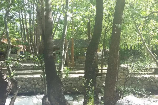 Çağlayan Park Hotel Restaurant - Resim 14