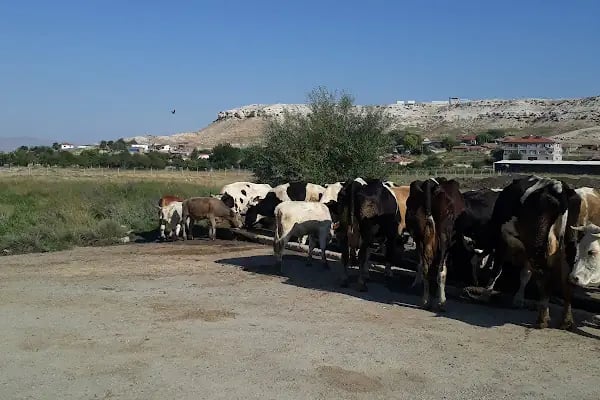 Bayındır Yapı Kooperatifi - Resim 11