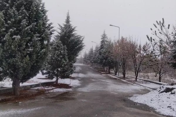 Bayındır Yapı Kooperatifi - Resim 7