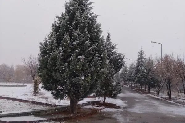 Bayındır Yapı Kooperatifi - Resim 5