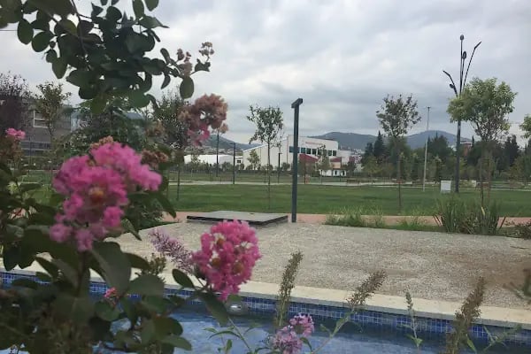19 Mayıs Yüzme Havuzu - Resim 20