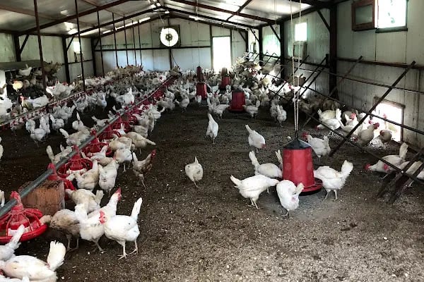EKODİA İNDİRİM SÜPERMARKETİ UMURÇA ŞUBESİ - Resim 3