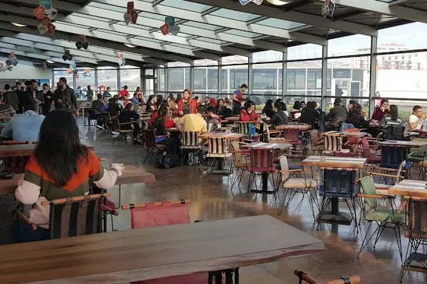 İSTANBUL GELİŞİM ÜNİVERSİTESİ - BEDEN EĞİTİMİ VE SPOR YÜKSEKOKULU - Resim 8