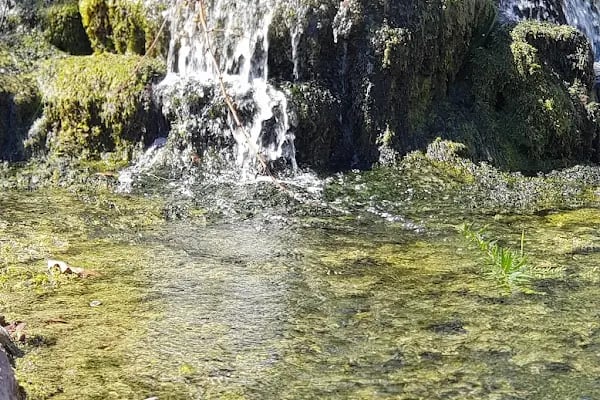 Karaisalı Merkez Park - Resim 4