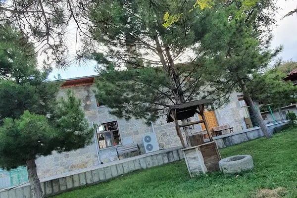 Merkez Büyük Cami - Resim 16