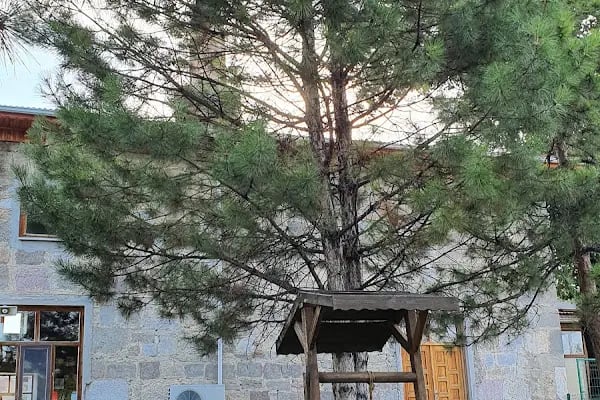 Merkez Büyük Cami - Resim 6