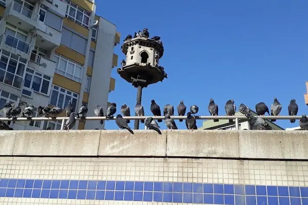Üçyol - Resim 7