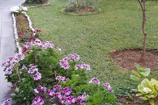 Efe Tatil Sitesi - Resim 13