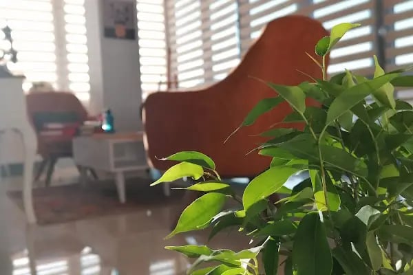Via Psikolojik Danışmanlık Merkezi - Resim 5