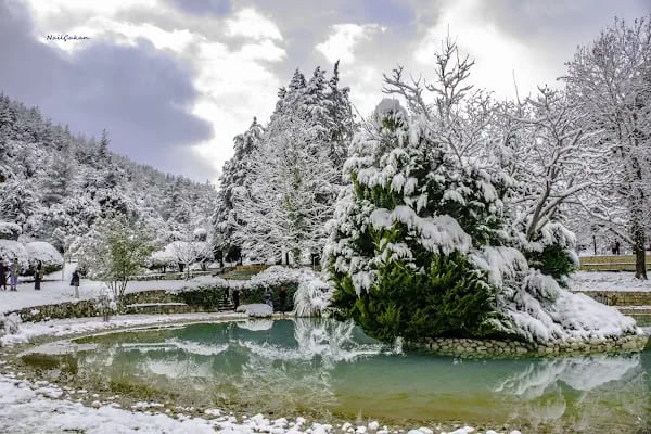Türk Dünyası Vezir Tonyukuk Parkı - Resim 10