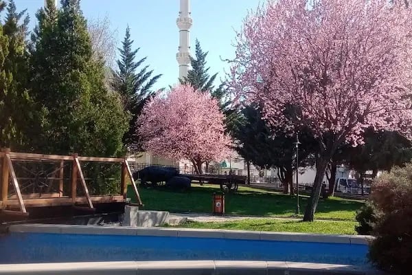 Türk Dünyası Vezir Tonyukuk Parkı - Resim 14