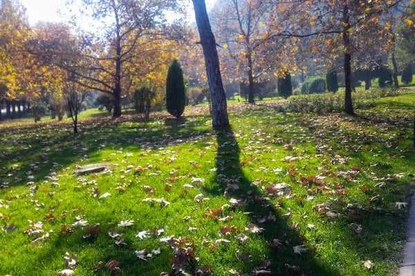 Türk Dünyası Vezir Tonyukuk Parkı - Resim 17