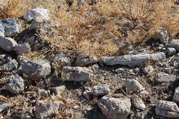 Bozdağ Milli Parkı - Resim 10