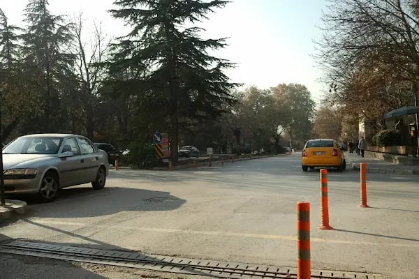 Ankara Üniversitesi Tıp Fakültesi Hematoloji Bilim Dalı - Resim 16