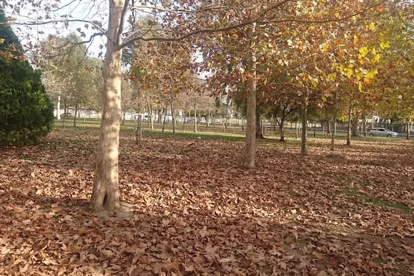 Temiz Bahçe Kır Düğün Salonu - Resim 17