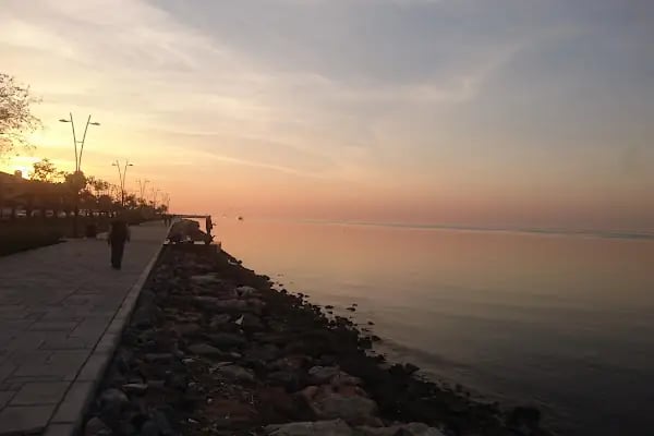 Temiz Bahçe Kır Düğün Salonu - Resim 13