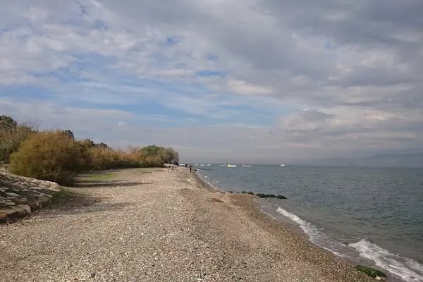 Temiz Bahçe Kır Düğün Salonu - Resim 19