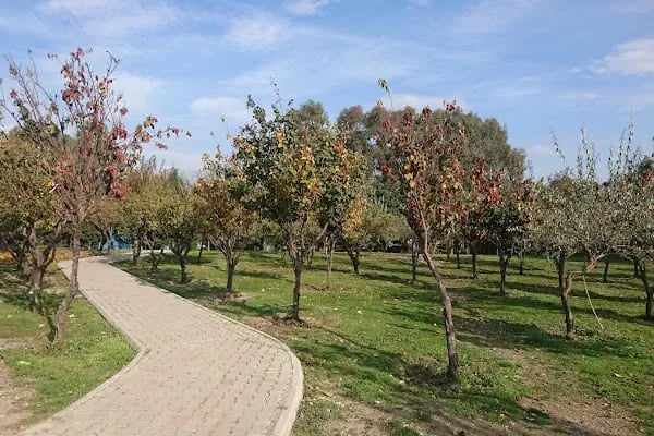 Temiz Bahçe Kır Düğün Salonu - Resim 14