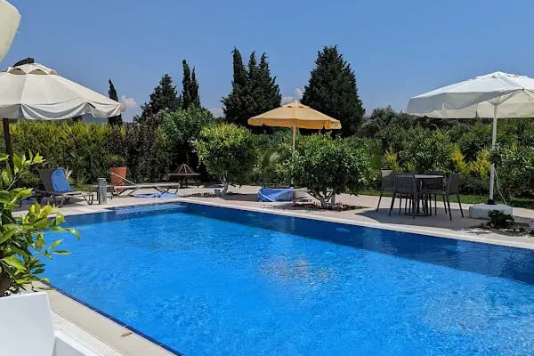 Revitalizeinturkey - Resim 5