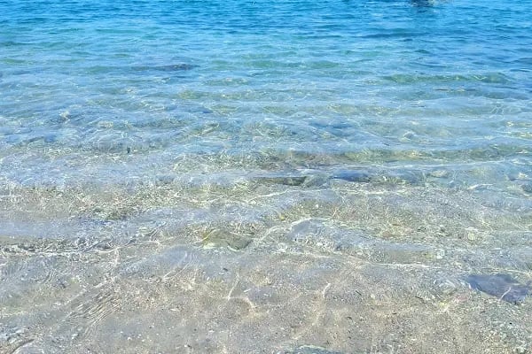 Egesu Güllük Marina - Resim 8