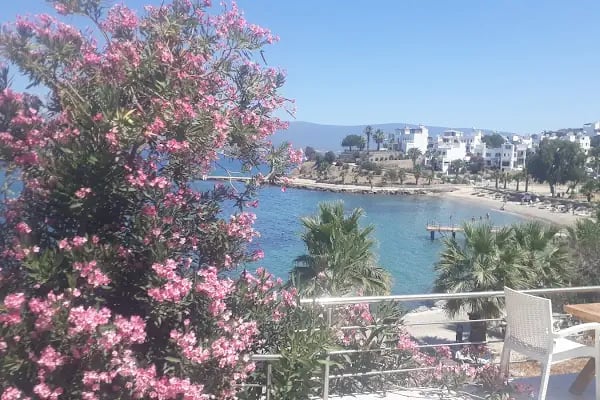 Egesu Güllük Marina - Resim 16