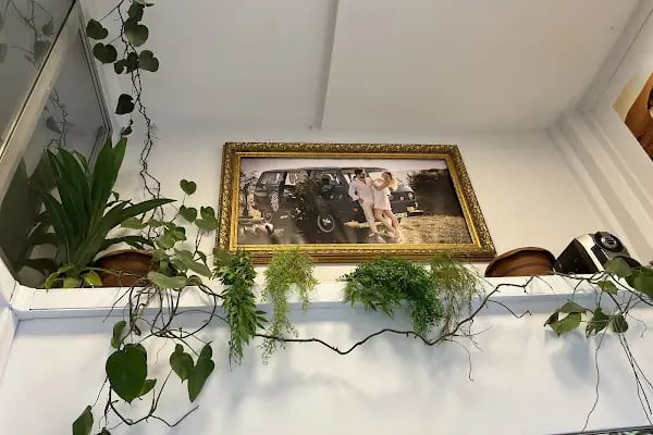 Bahar Fotoğrafçılık - Resim 11