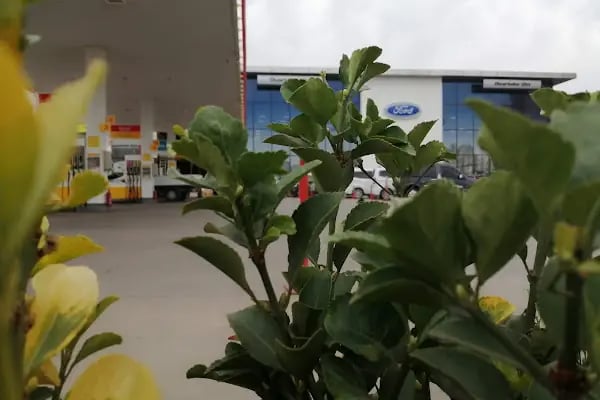 Diyarbakır Oto Ford 3S Bayii - Resim 15