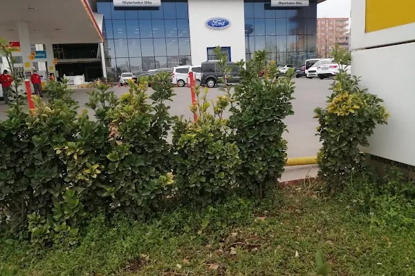 Diyarbakır Oto Ford 3S Bayii - Resim 13