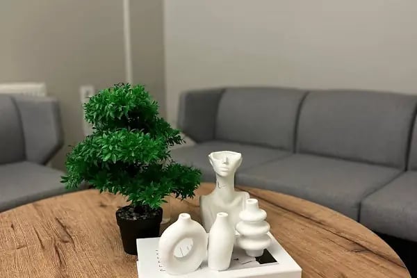 Tekirdağ Begonya Butik Otel - Resim 6