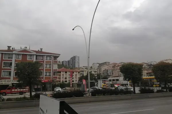Shell-kupa Pazarlama - Resim 20