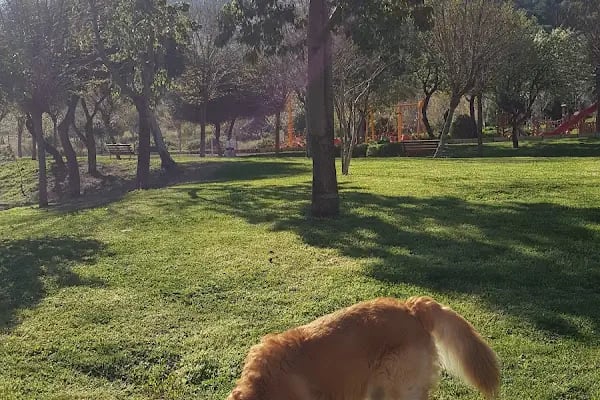 Balçova Belediyesi Kent Belleği Merkezi - Resim 4