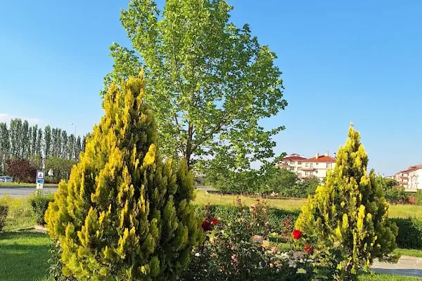 Akyurt Şehitler Anıtı - Resim 4
