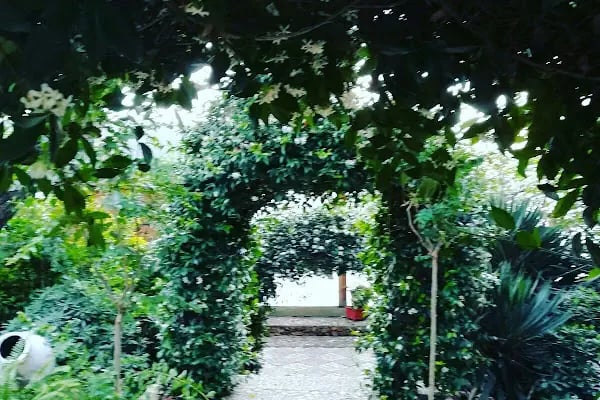 Büyükada Görkemli Hotel&amp;Cafe - Resim 6
