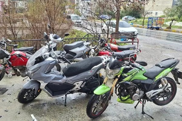 Özel Bozdoğan Sürücü Kursu - Resim 2