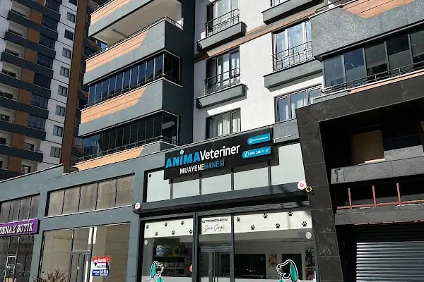 Anima Veteriner Kliniği - Resim 12