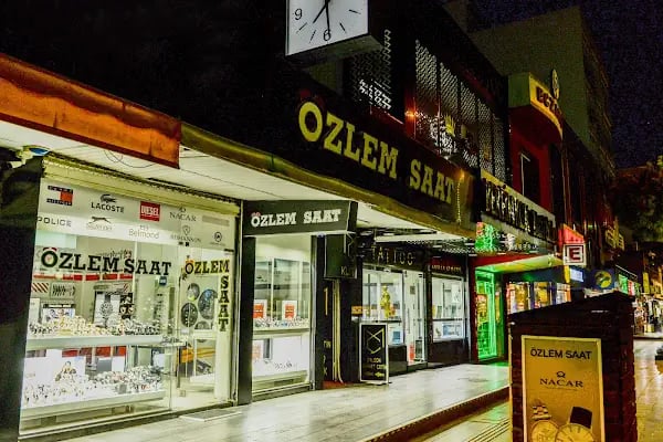 ÖZLEM SAATCI - Resim 13