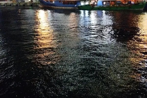 Ambarlı limanı Mardaş 4. Etap - Resim 3