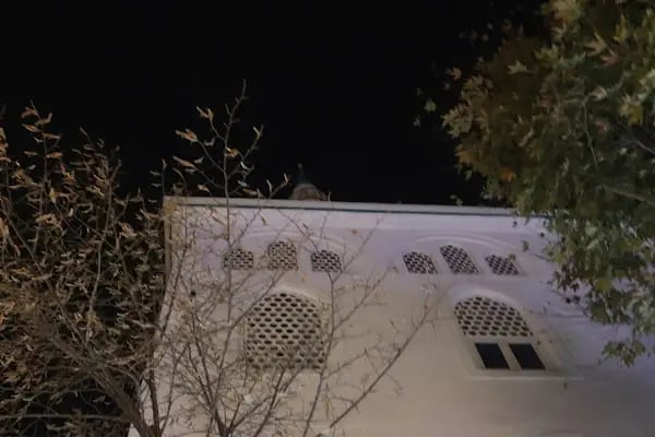 Yeşilbağ Ulu Cami - Resim 12